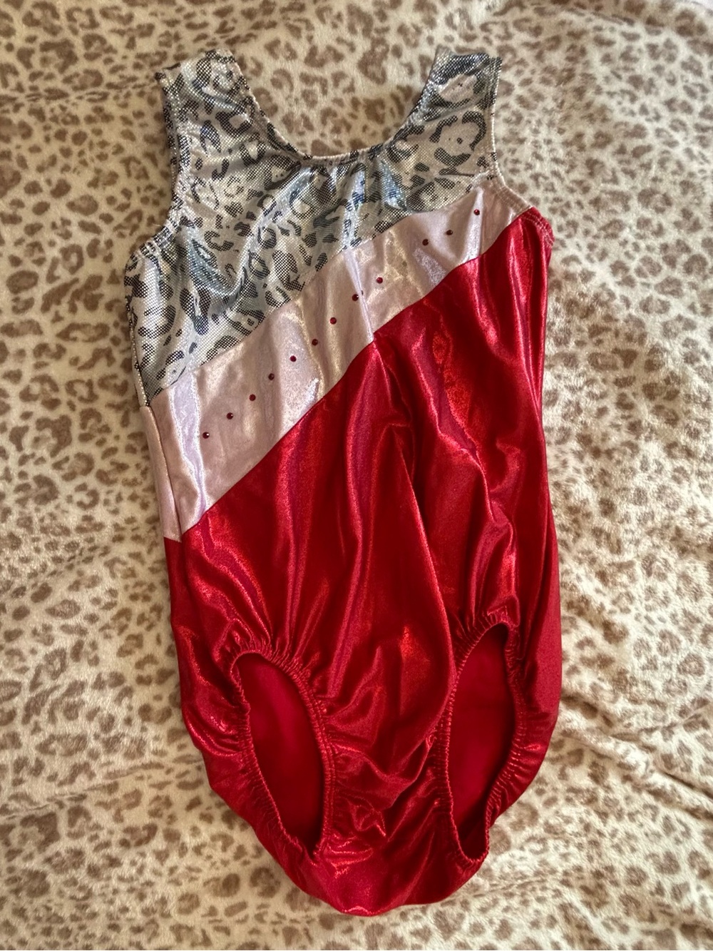 GK Girls Red Silver Metallic Diagonal Accent Gymnastics Leotard